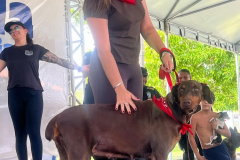 2ª Cãominhada da Polícia Penal promove integração com a comunidade neste sábado