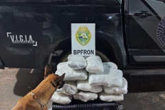 PMPR localiza 16 kg de maconha em ônibus rodoviário e prende passageiro