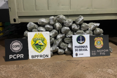 Em ações distintas, PMPR apreende cerca de 343 quilos de maconha na região Fronteira