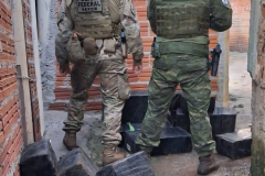 PMPR e PF apreendem 300 quilos de maconha às margens do Rio Paraná 