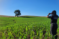 Ciência e perícia: como a Polícia Científica atua em crimes contra o meio ambiente
