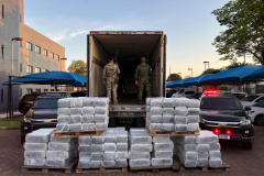 Paraná é o estado que mais apreendeu maconha no Brasil em 2025