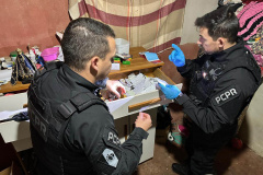 PCPR apreende carros de luxo e prende 42 pessoas de grupo que movimentou R$ 120 milhões