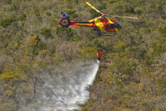 Chuvas e conscientização da população reduzem em 41% incêndios florestais no Paraná em 2025