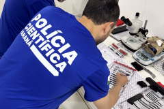 Polícia Científica do Paraná intensifica força-tarefa para liberação de armamentos apreendidos