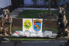 PMPR apreende drogas durante fiscalização em evento em Morretes