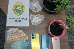PMPR prende homem e apreende pés de maconha em Matinhos