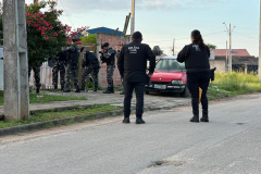 Ação mira grupo que lucrou R$ 10 milhões vendendo remédio veterinário como alucinógeno