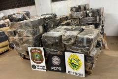 PMPR, PCPR e PF prendem três pessoas e apreendem quase 4 toneladas de maconha no Oeste