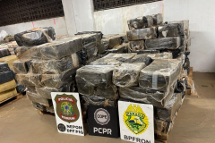 PMPR, PCPR e PF prendem três pessoas e apreendem quase 4 toneladas de maconha em Santa Helena