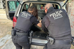 PCPR e PMPR prendem sete integrantes de grupo que atuava em roubos de cargas na RMC