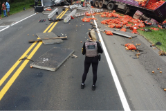 Perícia criminal é fundamental para esclarecer ocorrências de trânsito; veja como funciona