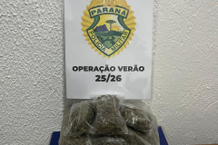 PMPR prende homem por tráfico de drogas em Guaratuba