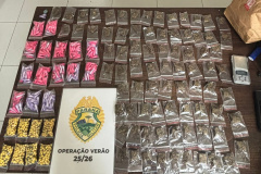 PMPR apreende drogas e prende duas pessoas por tráfico em Matinhos