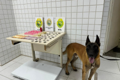 PMPR prende dois homem em flagrante e apreende 342 porções de drogas em Matinhos