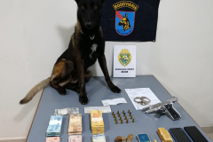 Sistema Olho Vivo auxilia PMPR na prisão de dois homens por tráfico de drogas em Guaratuba