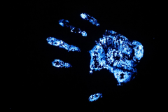 Luminol reforça atuação da Polícia Científica na identificação de vestígios ocultos