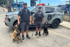 Forças de segurança realizam ação integrada com cães de faro na balsa de Guaratuba