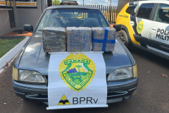 PMPR apreende 30 quilos de maconha e prende condutor na PR-488