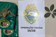 PMPR prende dois homens por posse de folhas de coca na orla de Guaratuba