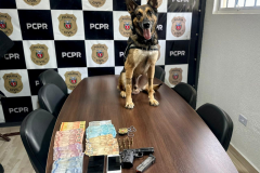 PCPR prende duas pessoas durante cumprimento de mandado de busca e apreensão em Antonina