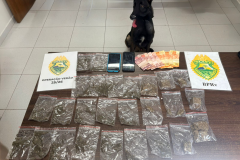 PMPR prende homem por tráfico e apreende 265 gramas de maconha em Matinhos