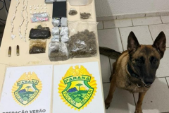 PMPR prende dois homens por tráfico de drogas em Guaratuba