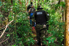 PMPR e IAT multam 15 pessoas por acesso irregular ao Pico Paraná em um dia