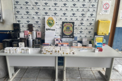 PMPR e PF apreendem anabolizantes e medicamentos contrabandeados avaliados em mais de R$ 2 milhões na BR-277