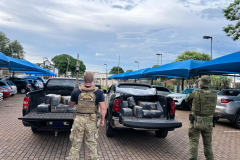 PMPR e PF apreendem 535 quilos de maconha em Mercedes