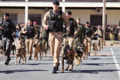 PMPR forma novos policiais especializados no uso de cães e reforça atuação no combate ao crime no Estado
