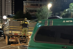 PMPR apreende quase 12 toneladas de baterias e detém motorista por crime ambiental em Vitorino