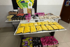 PMPR apreende armas e 17,2 mil unidades de ecstasy na CIC