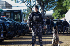Operação Sinergia leva reforço operacional e ações estratégicas de segurança a Sarandi e região