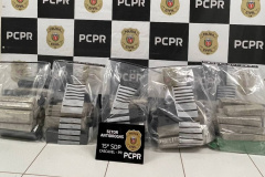 Em segunda fase de operação, PCPR intercepta mais 73 quilos de maconha em Cascavel