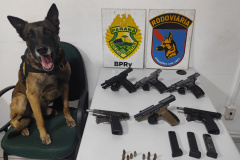 PMPR apreende seis pistolas em ônibus em operação de combate ao tráfico de armas em Piraí do Sul