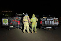 PMPR apreende 1,6 tonelada de maconha; prejuízo ao crime passa de R$ 3,3 milhões