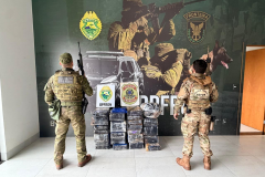 PMPR e PF prendem homem e apreendem 320 quilos de maconha em Assis Chateaubriand