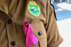 Curitiba, 29 de outubro de 2019.  Campanha Outubro Rosa 20°BPM.