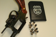 Alunos são apreendidos com arma em colégio