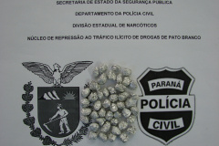 Polícia apreende adolescente com 49 pedras de crack em Pato Branco