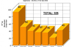 Número de prisões feitas pela DVC aumenta este ano 
