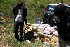 Apreensão em Apucarana