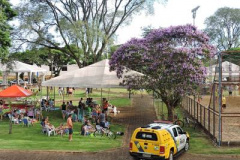 Paraná tem 43 municípios sem assassinatos há quatro anos.