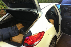 Ação conjunta da Denarc e Diep apreende 270 quilos de maconha