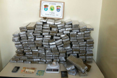 Nos Campos Gerais, PM apreende 100 quilos de maconha após receber denúncia; três são encaminhados

