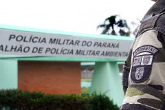BPMA conduz 50 pessoas à delegacia, apreende armas e recolhe quase 600 galos de rinha

