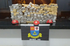 Quase 200 quilos de maconha são apreendidos pela PM após acompanhamento tático em Cafezal do Sul