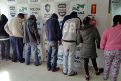 Operação em Toledo desarticula quadrilha de traficantes e apreende 817 kg de maconha