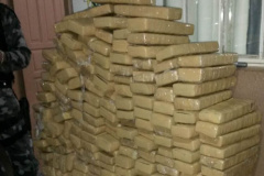 Polícia Militar recebe denúncia e apreende 174 quilos de maconha em Foz do Iguaçu